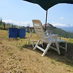Pachamama *