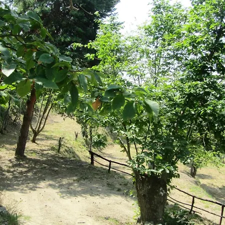 Casa vacanze Pachamama *