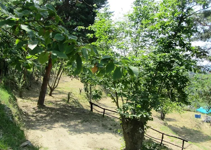 Nyaraló Pachamama *